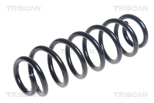 Suspension Spring (8750 29402)