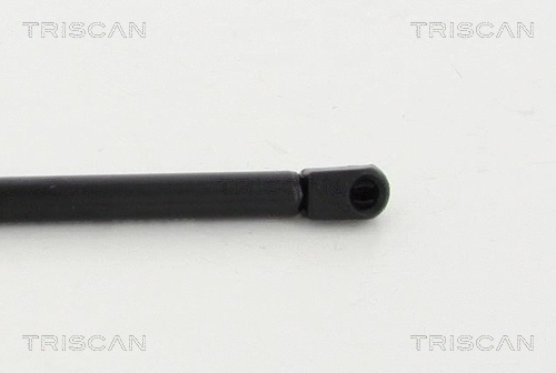 Gas Spring, bonnet (8710 80101)