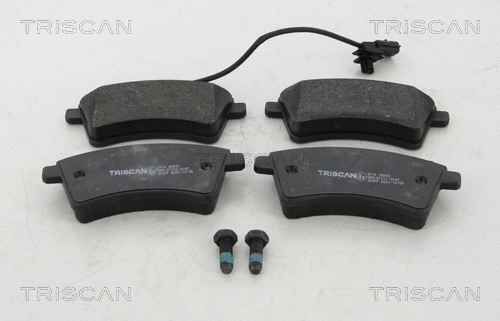 Brake Pad Set, disc brake (8110 25043)