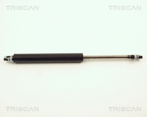 Gas Spring, boot/cargo area (8710 11203)