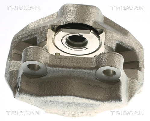 Brake Caliper (8175 23213)