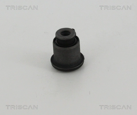Mounting, control/trailing arm (8500 28873)