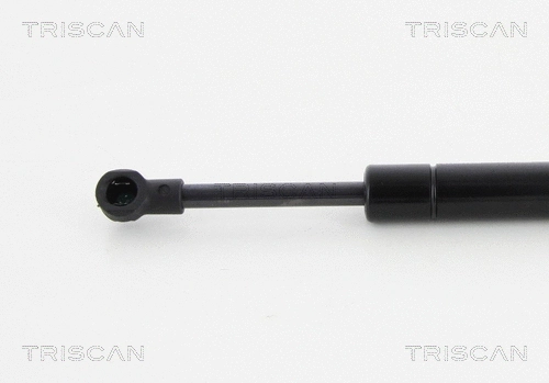 Gas Spring, boot/cargo area