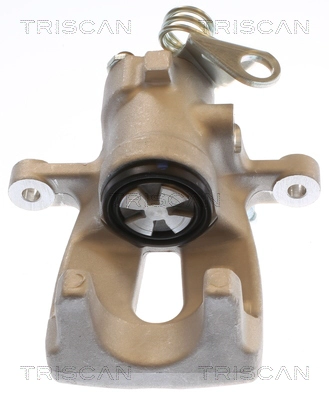 Brake Caliper (8175 15217)