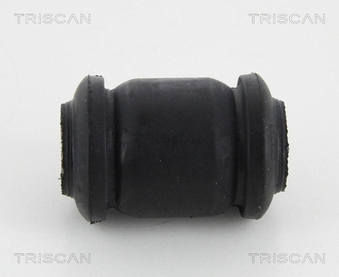 Mounting, control/trailing arm (8500 13818)