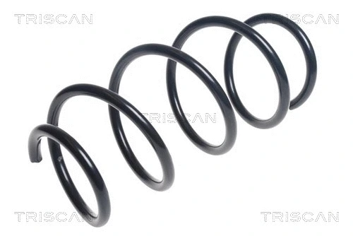 Suspension Spring (8750 23177)