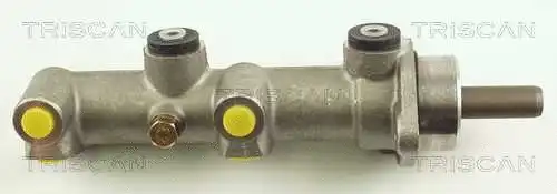 Brake Master Cylinder (8130 10100)