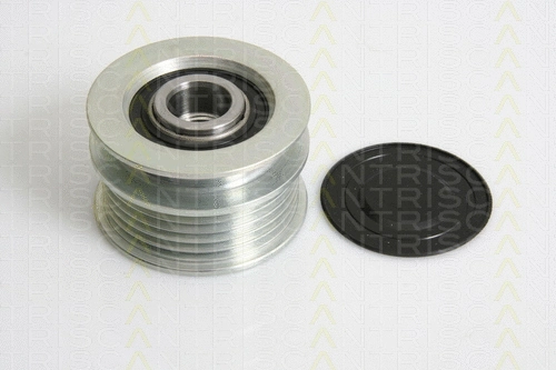 Alternator Freewheel Clutch (8641 294017)