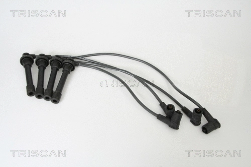Ignition Cable Kit (8860 40003)