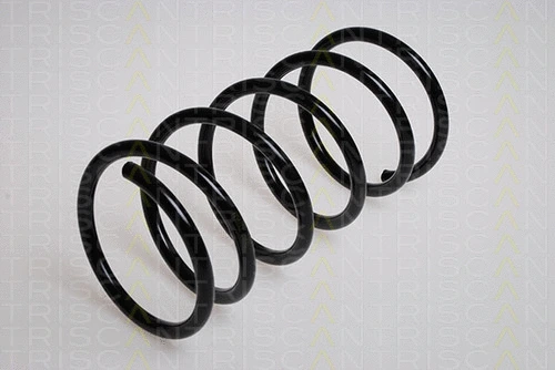 Suspension Spring (8750 28118)