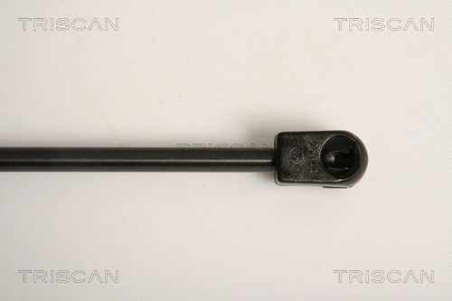 Gas Spring, boot/cargo area