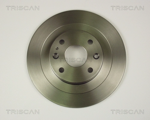 Brake Disc (8120 50118)