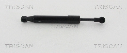 Gas Spring, boot/cargo area (8710 20204)
