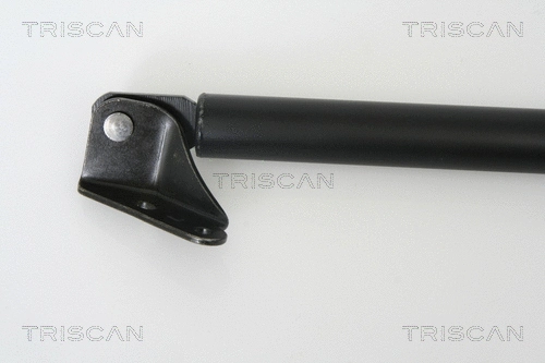 Gas Spring, boot/cargo area