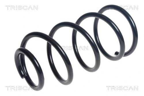 Suspension Spring (8750 27130)