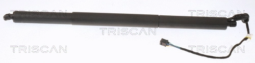 Gas Spring, boot/cargo area (8710 29306)