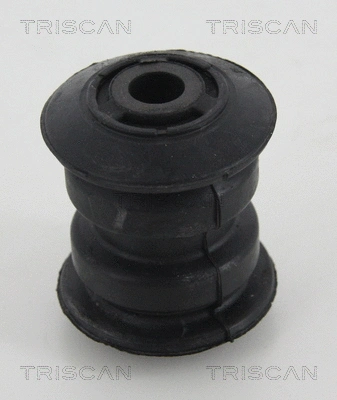 Mounting, control/trailing arm (8500 23891)
