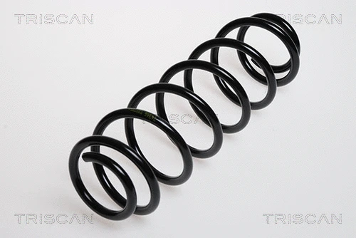 Suspension Spring (8750 29518)
