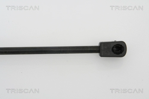 Gas Spring, bonnet
