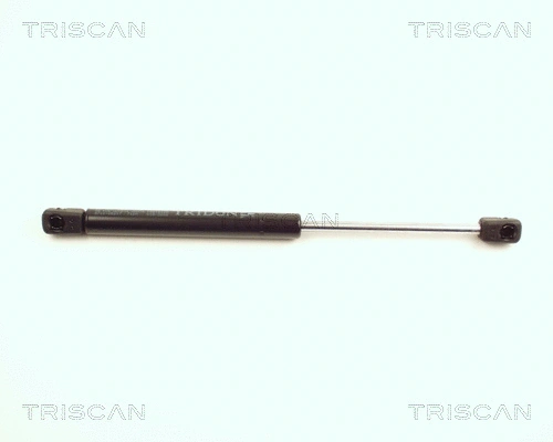 Gas Spring, boot/cargo area (8710 25217)