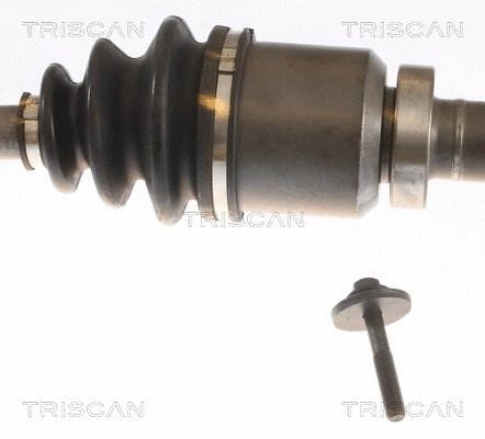 Drive Shaft
