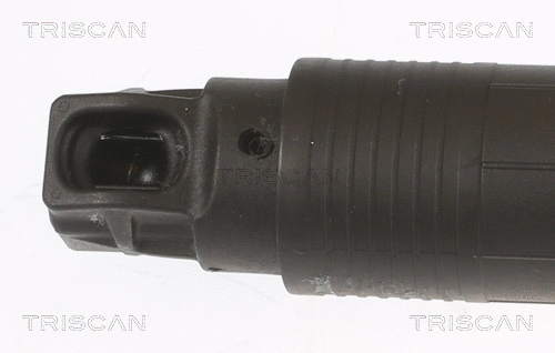 Gas Spring, boot/cargo area