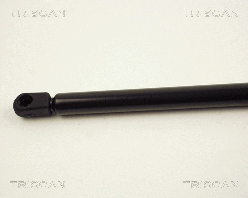Gas Spring, boot/cargo area