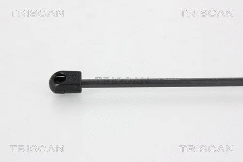 Gas Spring, boot/cargo area