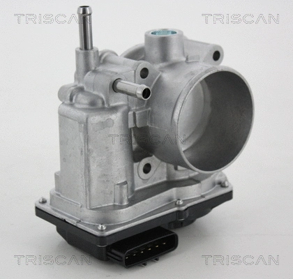 Throttle Body (8820 13006)