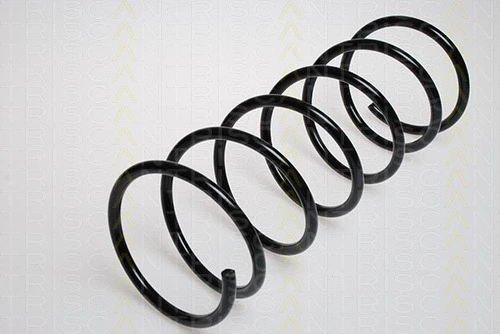 Suspension Spring (8750 2819)