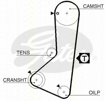 Timing Belt