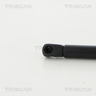 Gas Spring, boot/cargo area