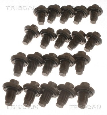 Screw Plug, oil sump (9500 1009-20)