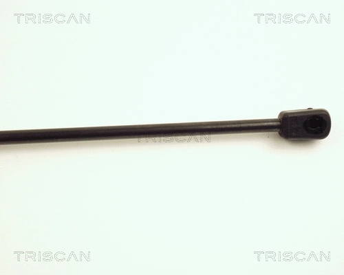 Gas Spring, boot/cargo area
