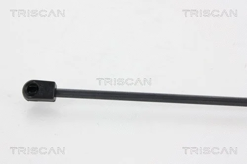 Gas Spring, boot/cargo area
