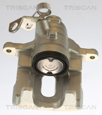 Brake Caliper (8175 10209)