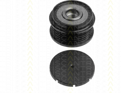 Alternator Freewheel Clutch (8641 294010)