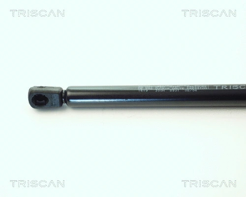 Gas Spring, boot/cargo area