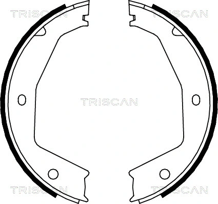 Brake Shoe Set, parking brake (8100 10034)