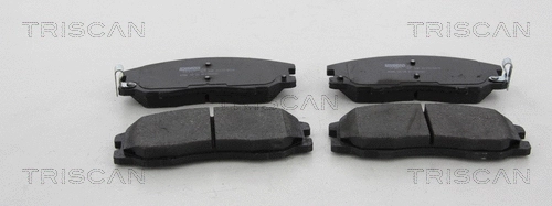 Brake Pad Set, disc brake (8110 24031)