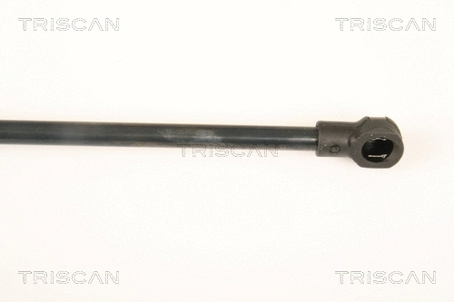 Gas Spring, rear window