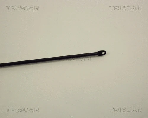 Gas Spring, bonnet