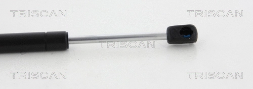 Gas Spring, boot/cargo area
