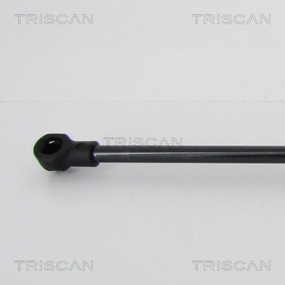 Gas Spring, boot/cargo area