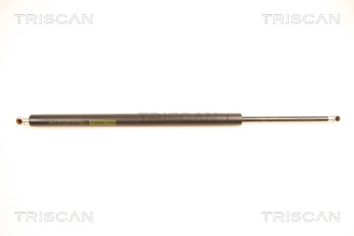 Gas Spring, boot/cargo area (8710 40214)