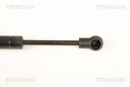 Gas Spring, boot/cargo area