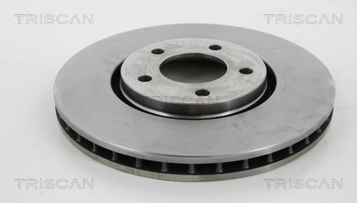 Brake Disc (8120 101011)