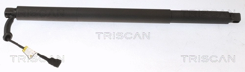Gas Spring, boot/cargo area (8710 16301)