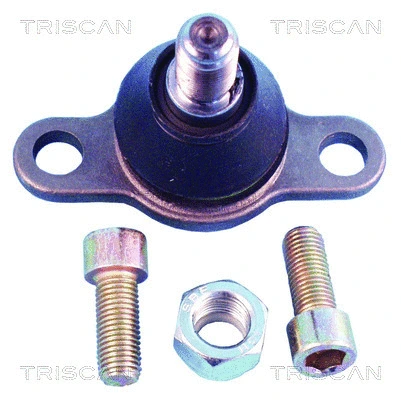 Ball Joint (8500 29547)
