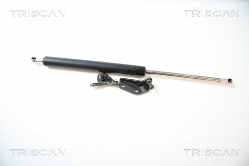 Gas Spring, boot/cargo area (8710 40225)